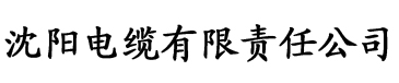 漂亮人妇交换系列小说电缆厂logo